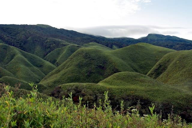 Missing Dzükou tourist remains untraced despite exhaustive search — Southern Angami Youth Organisation