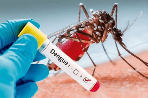 Dengue alert issued as high-risk window opens in Nagaland