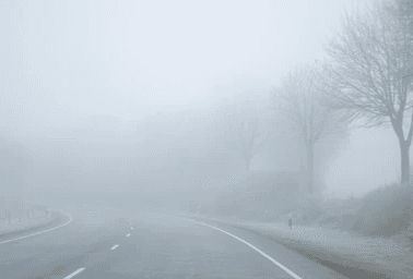 Dense fog to persist across Nagaland, Northeast as cold conditions continue—IMD