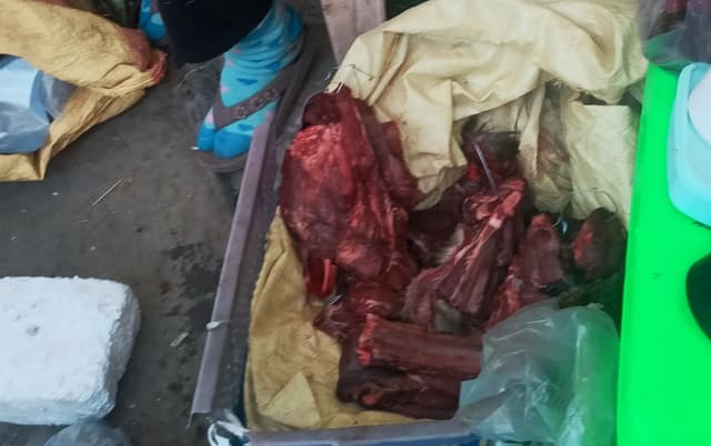 Sale of suspected venison in Kohima raises wildlife law concerns