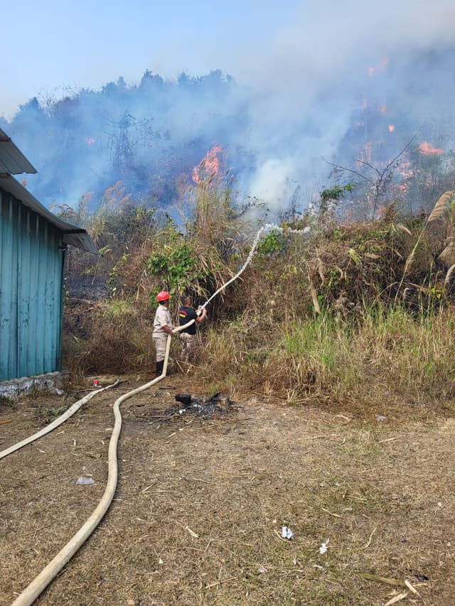 Fire at Assam Rifles Firing Range in Mokokchung contained 