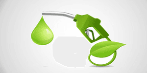 Supreme Court orders status quo on ethanol allocation for supply year 2025-26 