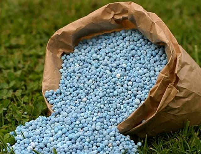 15 India-bound fertiliser ships cross Hormuz safely, stocks set to rise