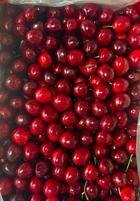 Export of Kashmir's premium cherries, plums to Singapore to boost farmers' income — Piyush Goyal