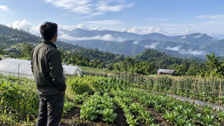 Exploring Career Opportunities in Horticulture