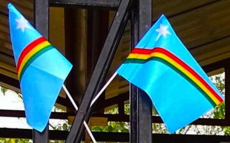 Naga group suspends cadre for 6 months; 6 held in alleged fake call centre raid