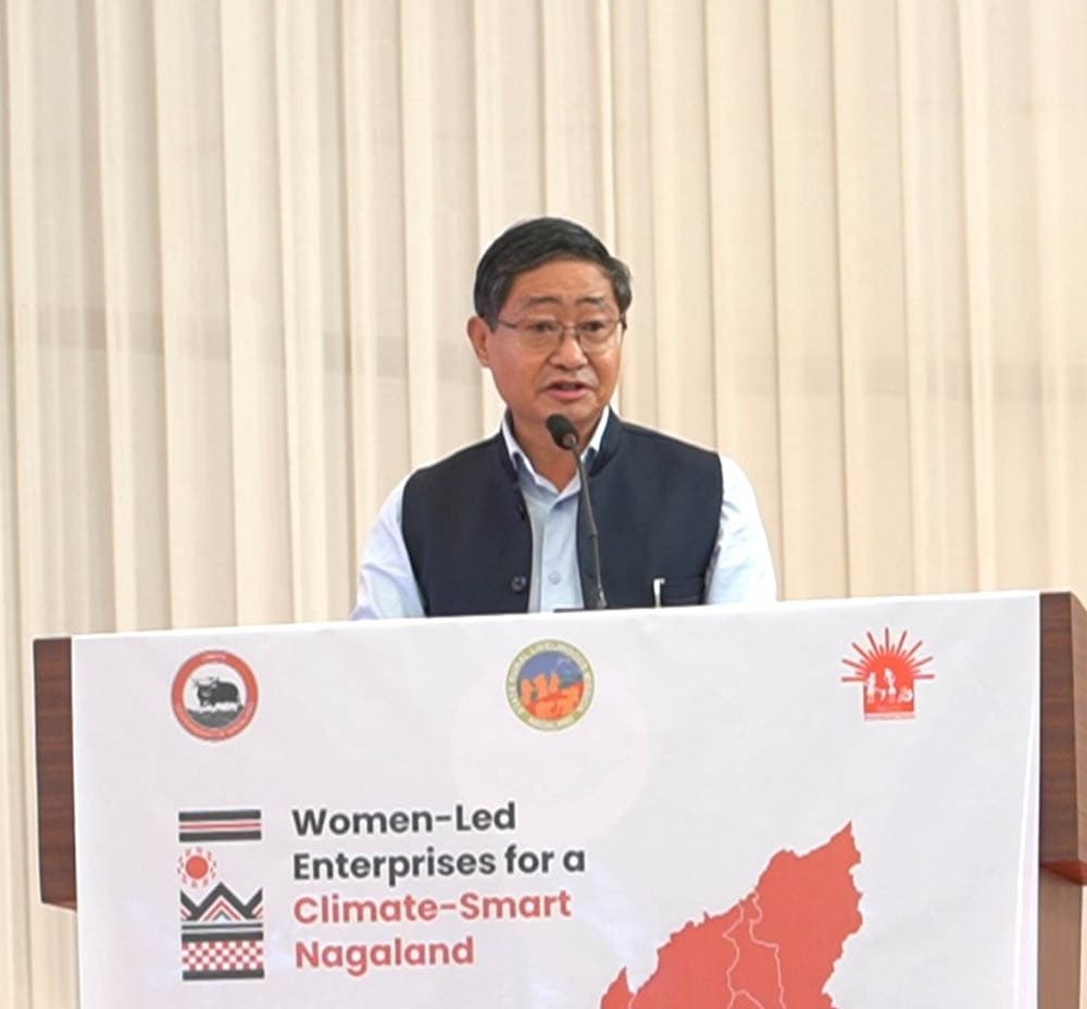 Women entrepreneurs key to climate-smart rural economy — Nagaland chief secretary