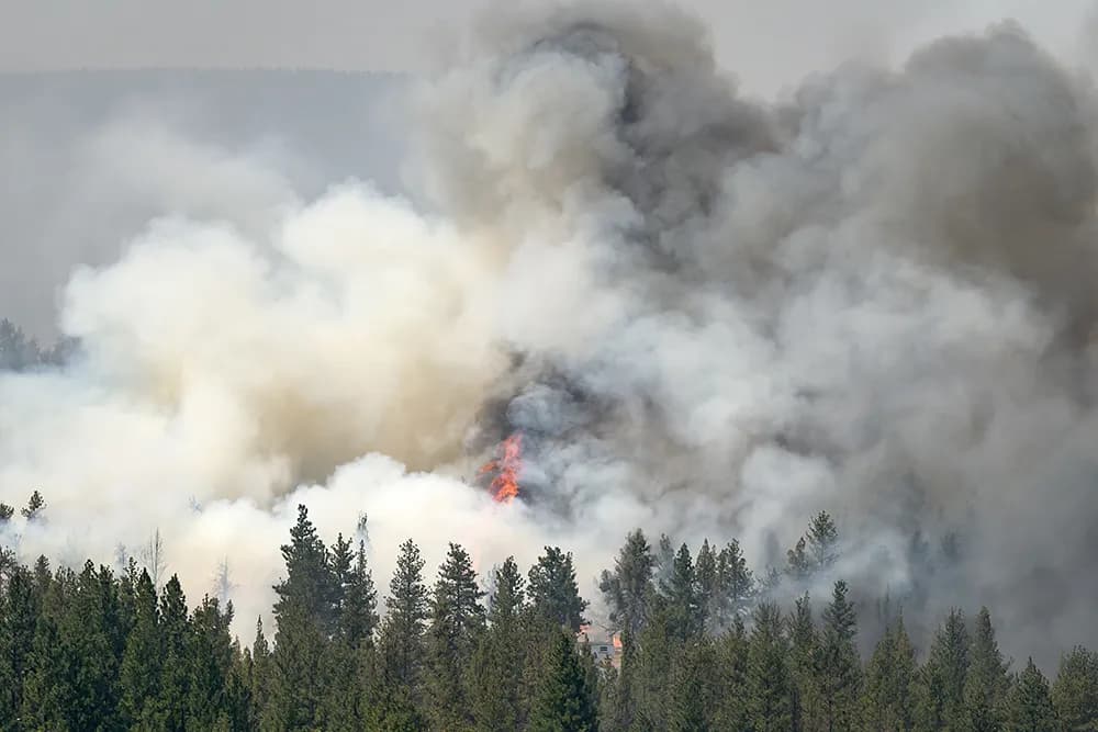 Wildfire leads to evacuations in some suburbs of French city of Bordeaux