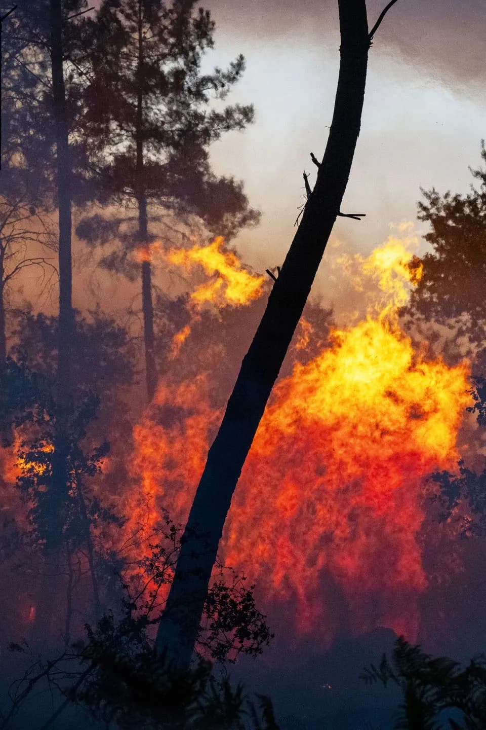Heat wave threatens to intensify France's mega-fire near Bordeaux