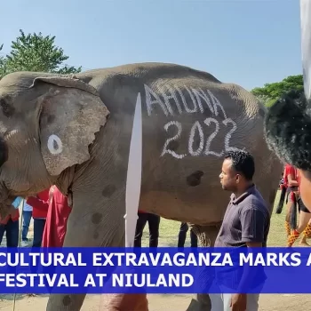 Cultural extravaganza marks Ahuna Festival at Niuland