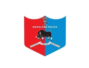 HC cancels 935 illegal appointments in Nagaland Police